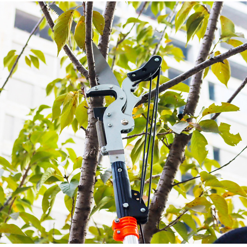 China Reeds Push Lawn Mower manufacturers, Reeds Push Lawn Mower