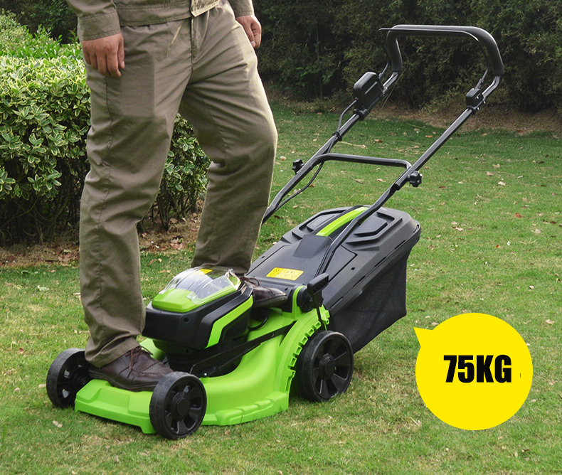 Electric Reeds Push Lawn Mower With Roller from China manufacturer